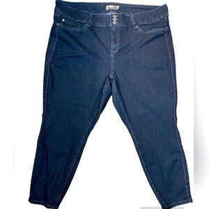 TORRID Jegging Style Jeans Dark Wash Women's Size 26S